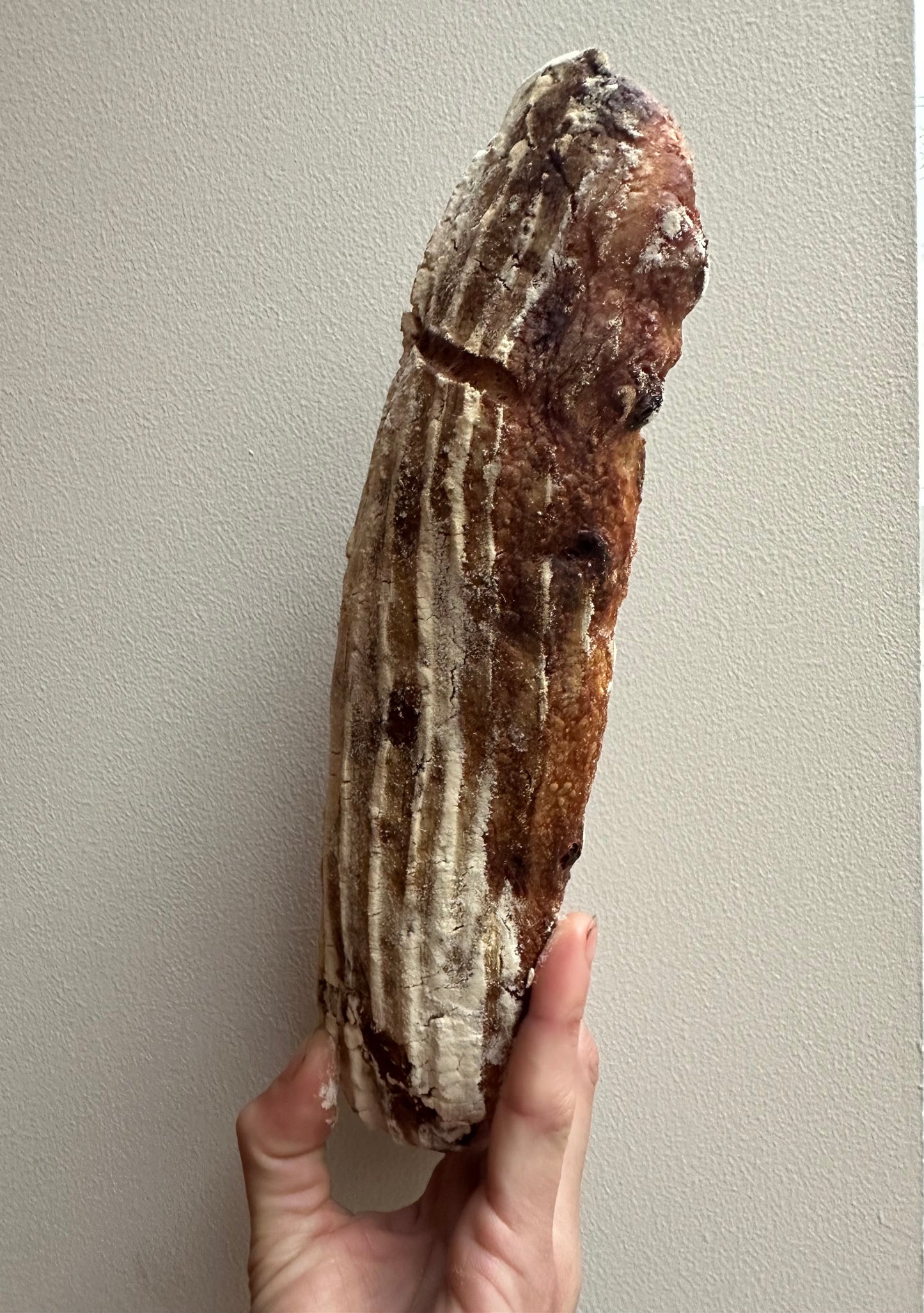 zuurdesembroodje met vijgen, venkelzaad en rozijnen