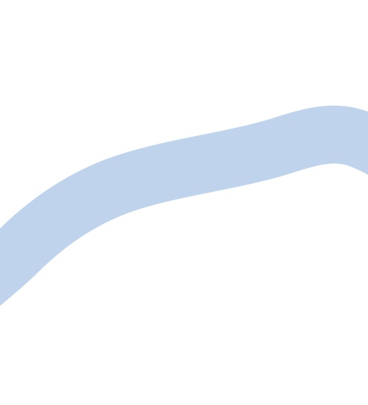 visbouillon